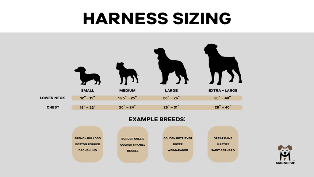 SIZING GUIDE _ Harness.webp