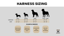 SIZING GUIDE _ Harness.webp