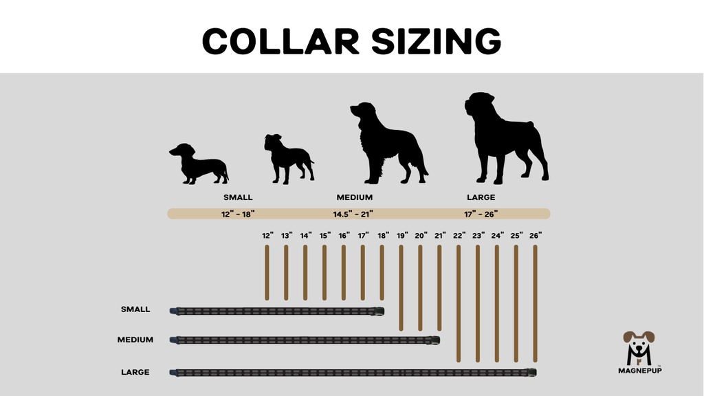 SIZING GUIDE _ Collar.webp