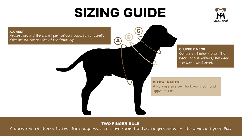 SIZING GUIDE- Main.webp