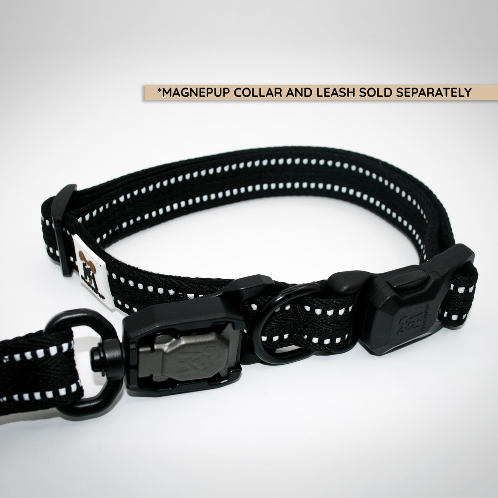COLMDBLK W LEASH.webp