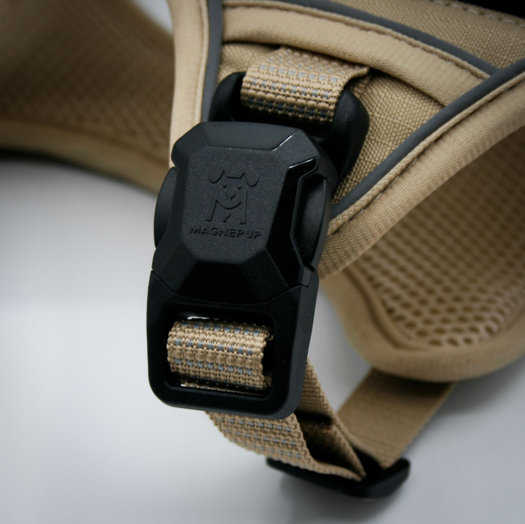 HARTAN Buckle S,M,L.webp