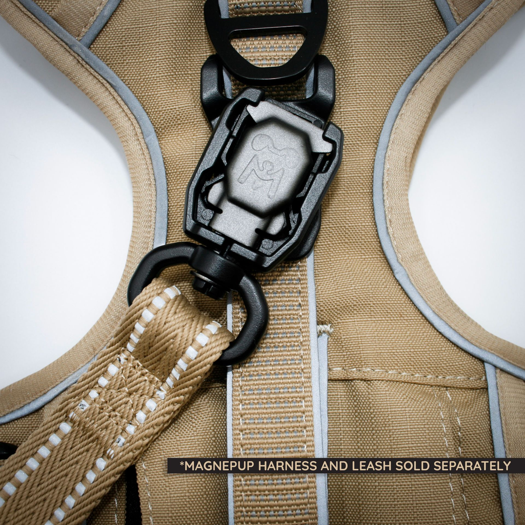 ALL Tan Harness Leash hooked.webp