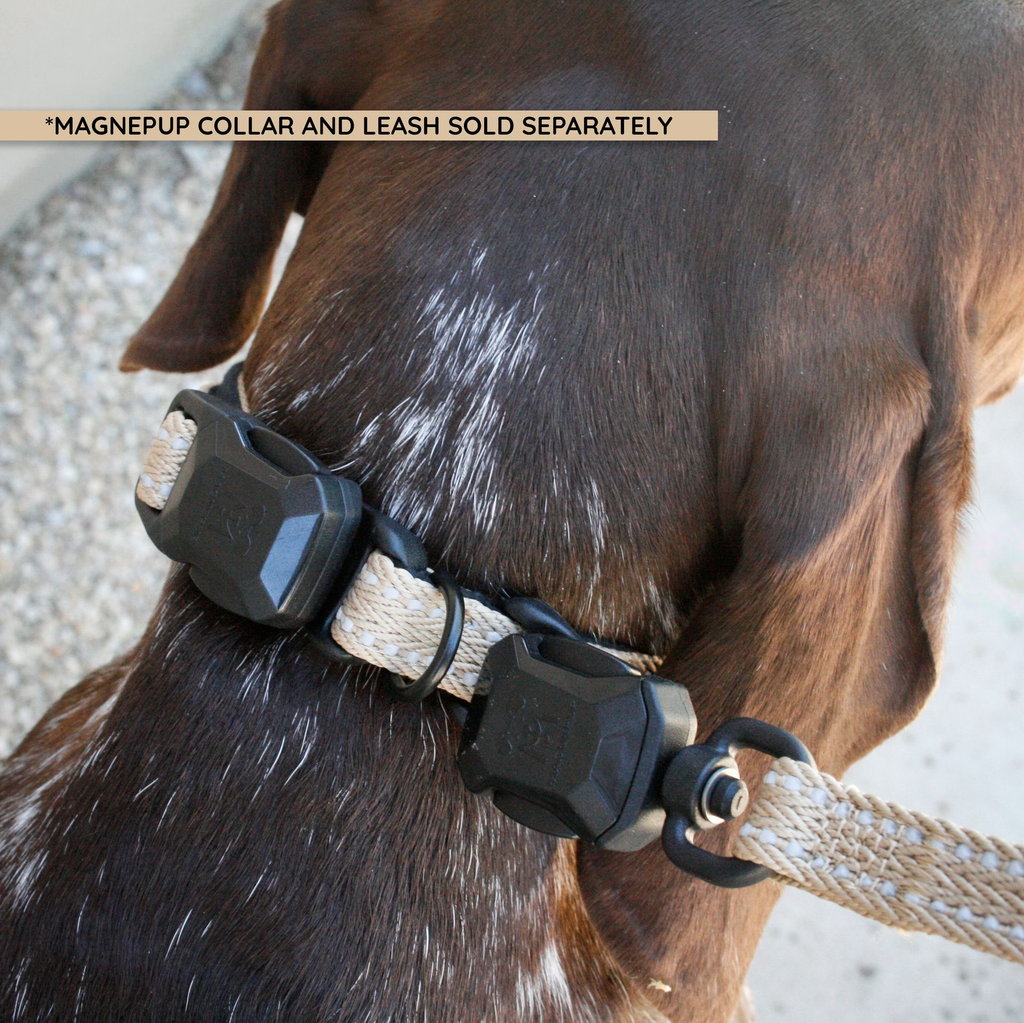COLSMTAN W LEASH.webp