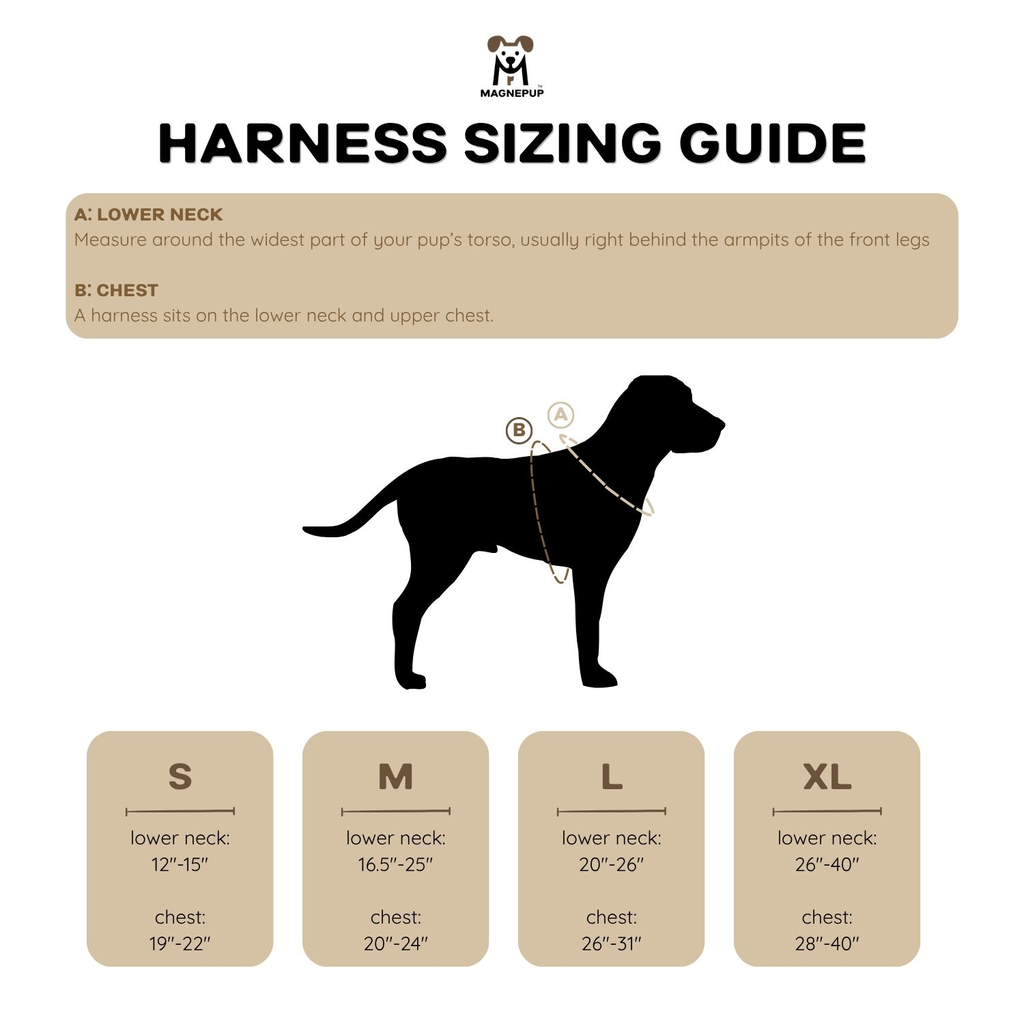 SIZING GUIDE- Main-2.webp