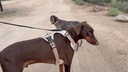 vimeo - [Video]
