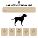 SIZING GUIDE- Main-2.webp