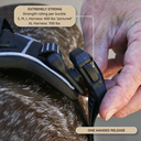 ALL HARBLK BUCKLE.webp