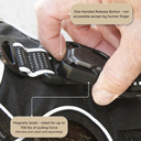 ALL HARBLK LEASH.webp