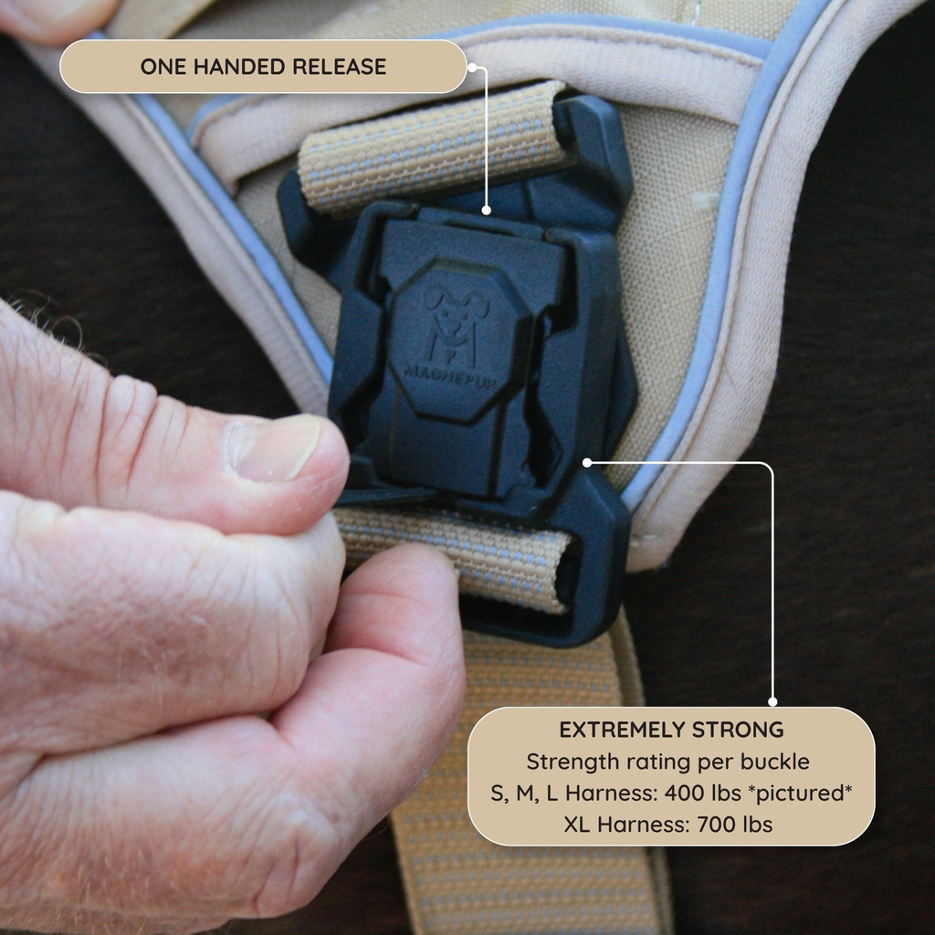 ALL HARTAN BUCKLE.webp