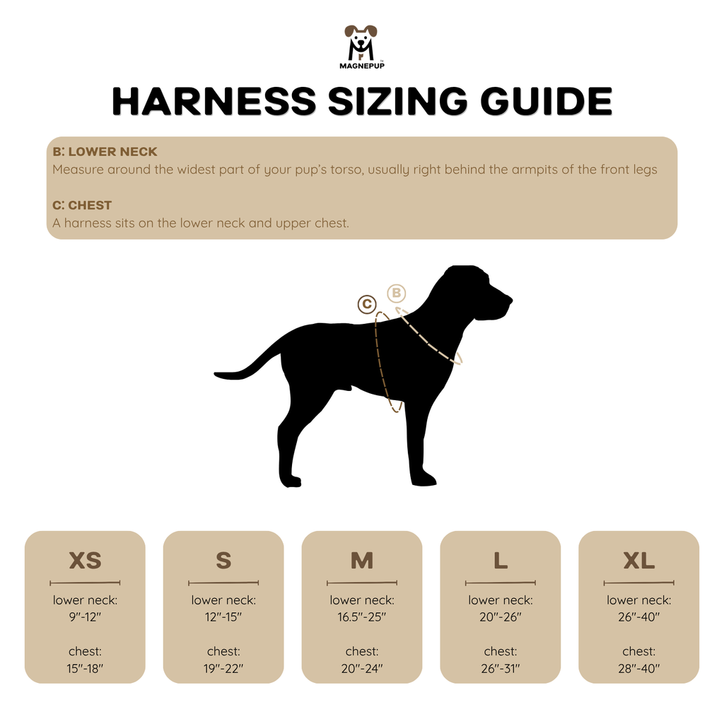 SIZING GUIDE- Main-2.webp