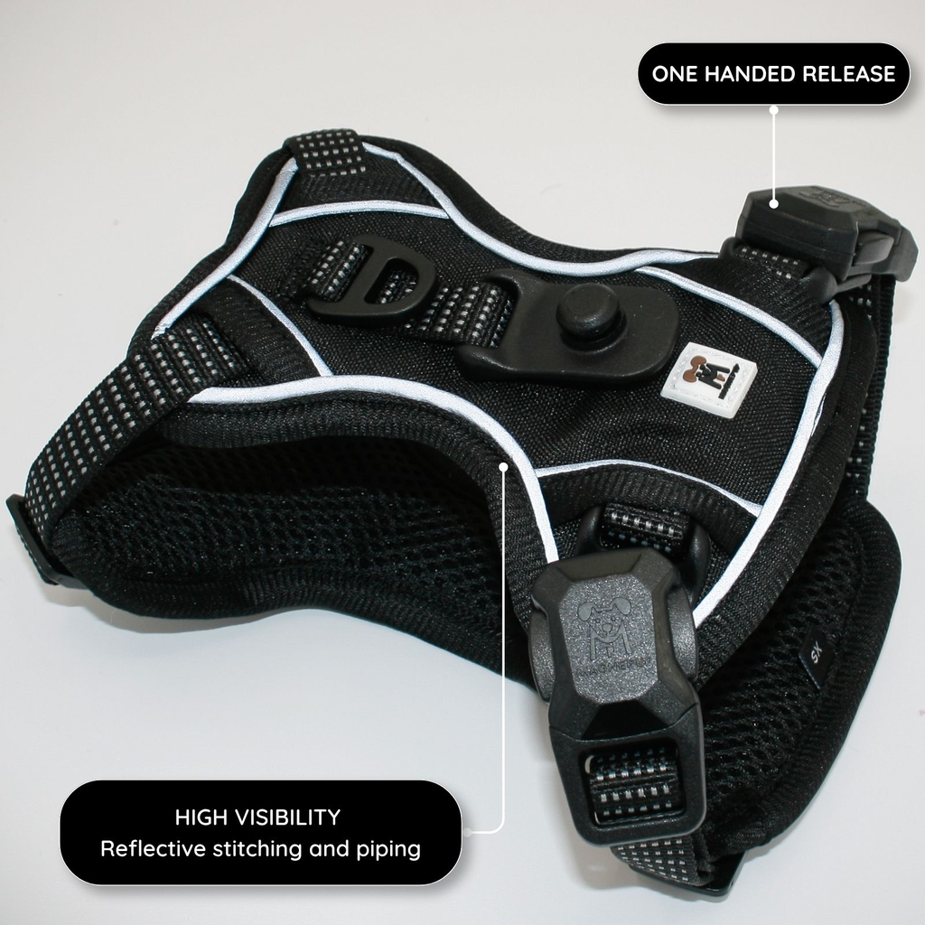 MAGNEPUP Leash Attachment-7.webp