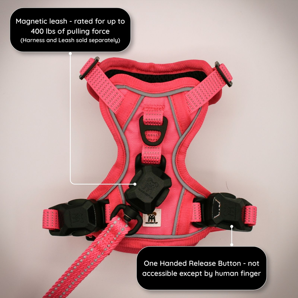 MAGNEPUP Leash Attachment-4.webp