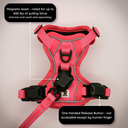 MAGNEPUP Leash Attachment-4.webp