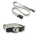 Silver Sage Collar and Leash Set