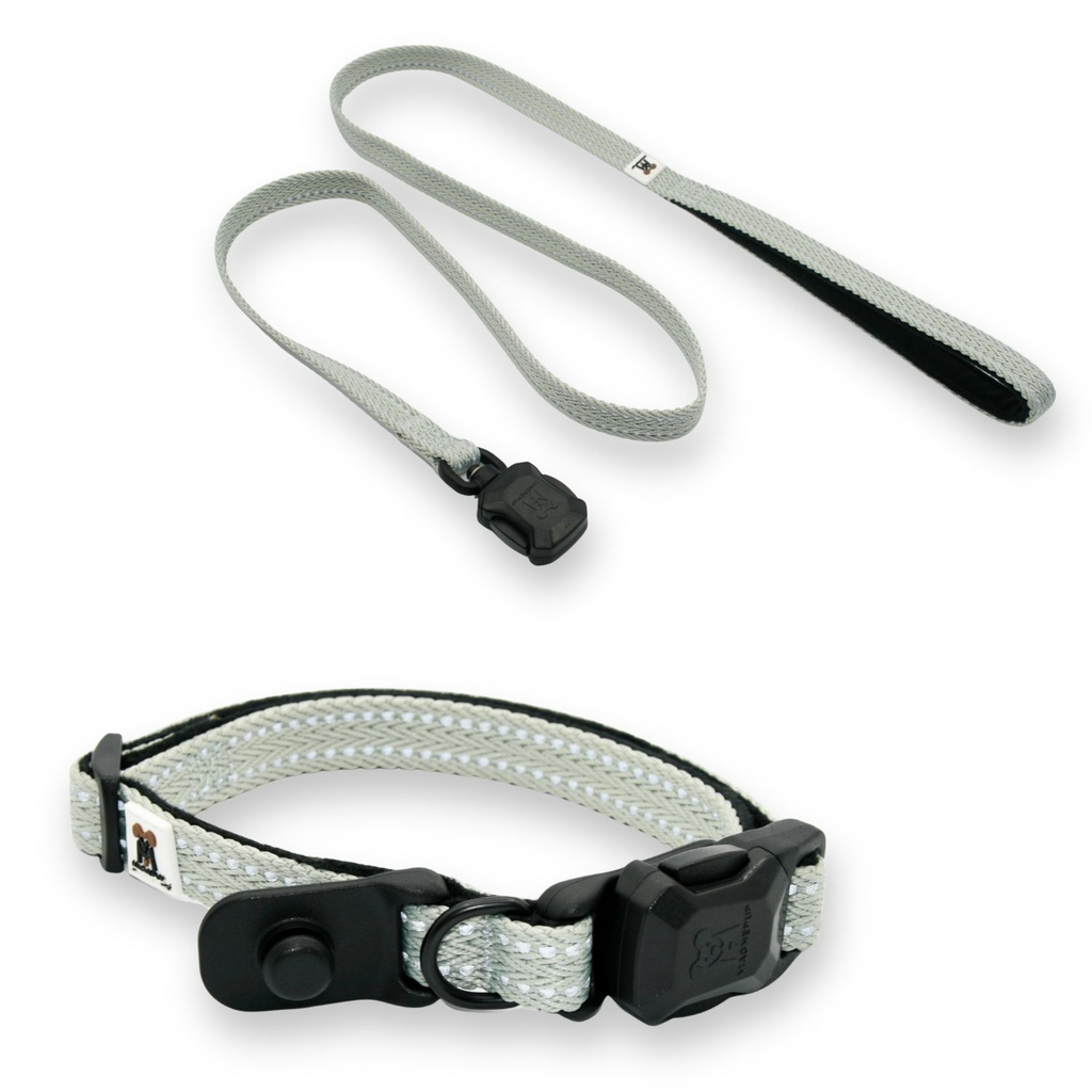 Slim Silver Sage Collar and Leash Set
