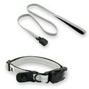Slim Silver Sage Collar and Leash Set