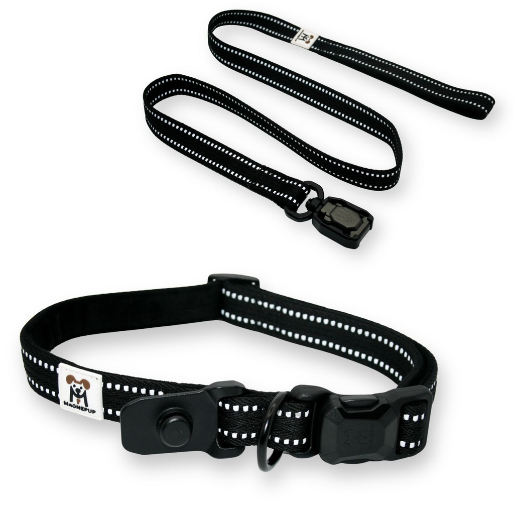 Onyx Black Collar and Leash Set