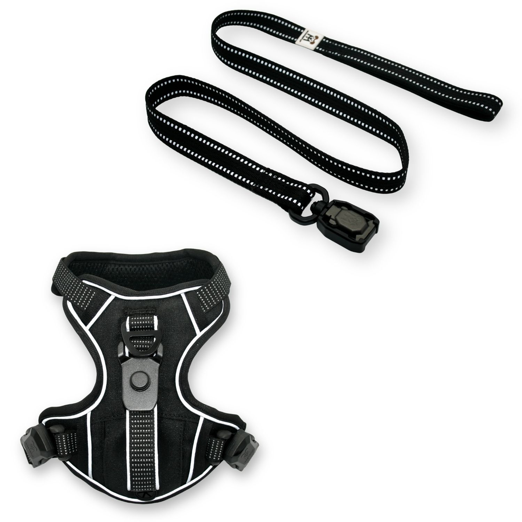 Standard Black Harness and Leash Set (S - XL)