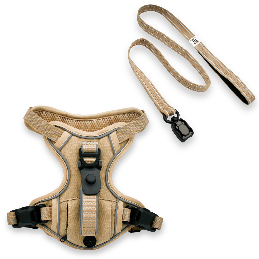 Standard Tan Harness and Leash Set (S - XL)