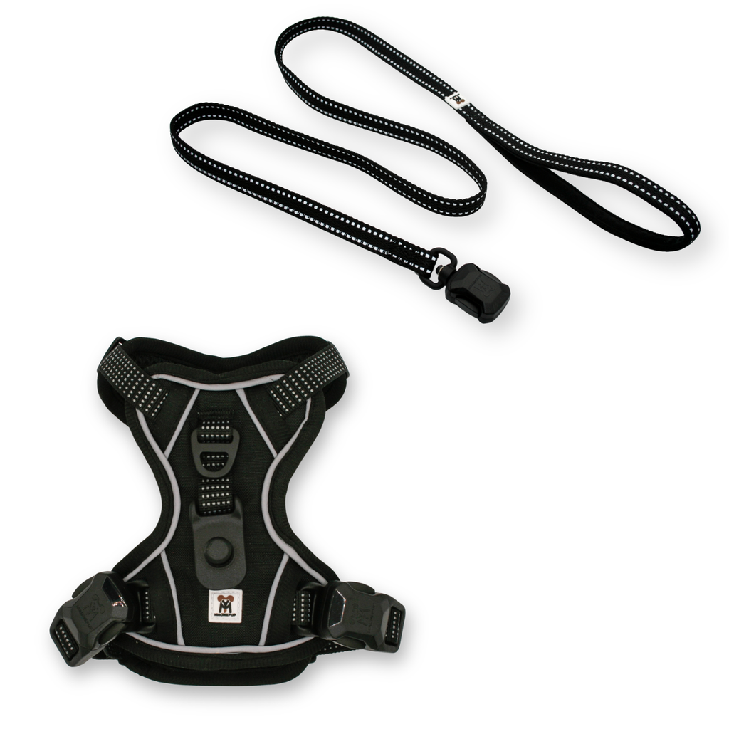 XS Harness and Slim Leash Set