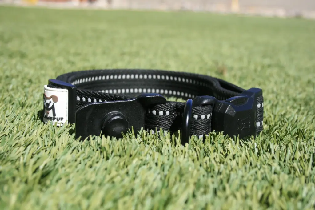 CLICK & GO Collar