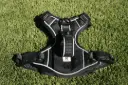 Harness w/Waste Bag