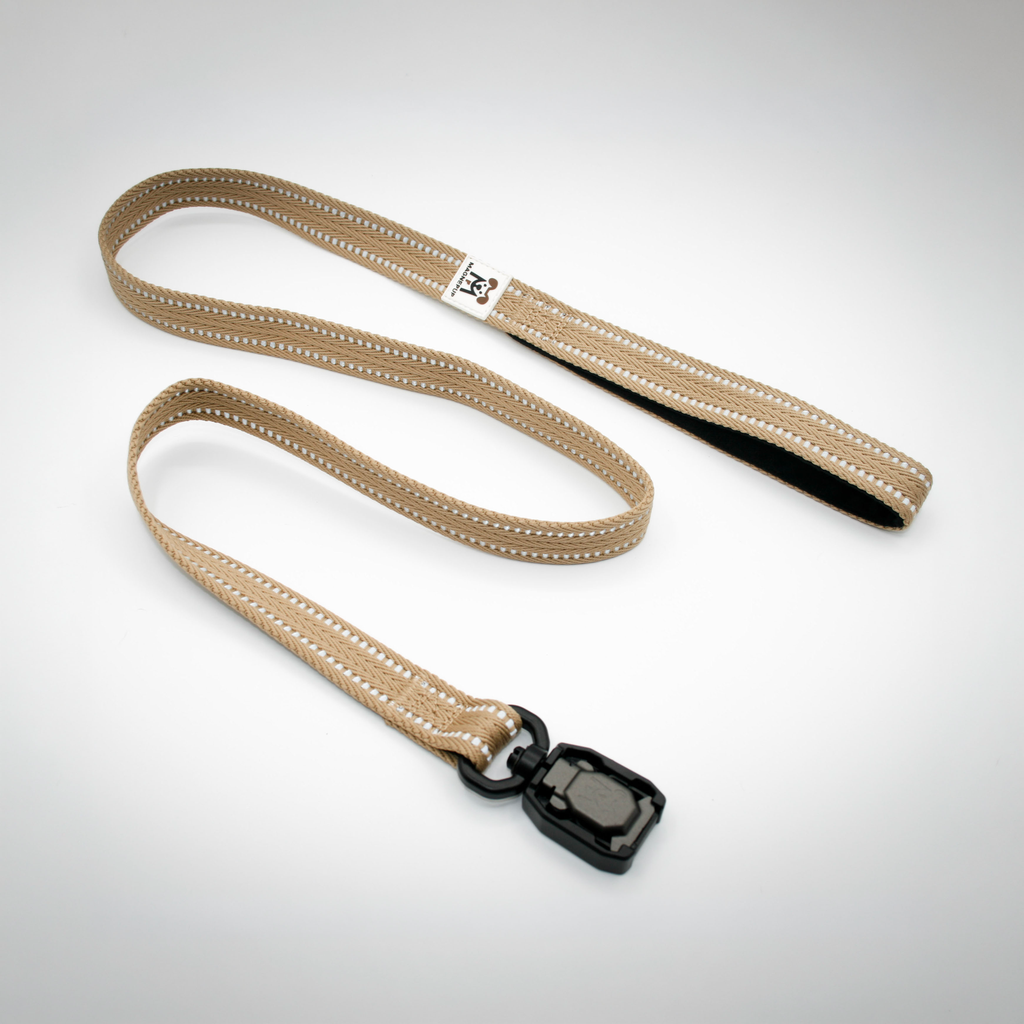 Standard CLICK & GO 4ft Leash
