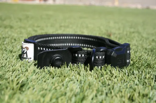 Standard CLICK & GO Collar